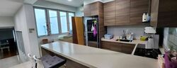 Rangoon Road (D8), Retail #456135721